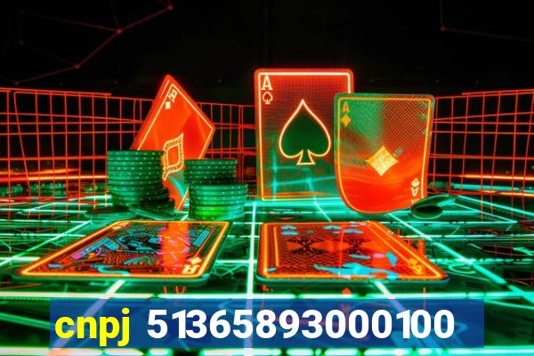 cnpj 51365893000100